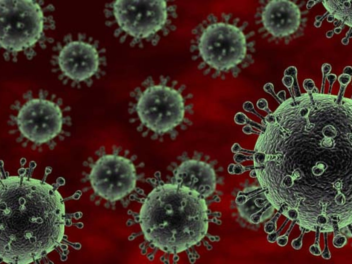 Angry Birds: How Does Avian Flu Infect Human Cells?