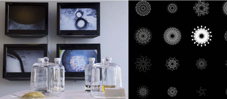 bioart_pei_ying_lin_radiolaria_living_ashes_variola