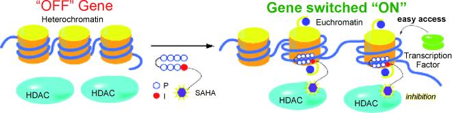 epigenetics_proteros_hdac1_rodin_biogen_neurological_disease