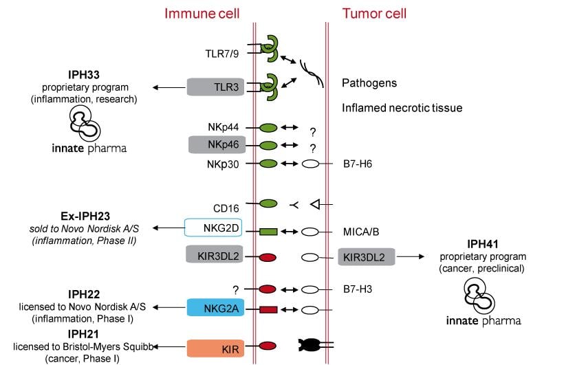 innate_pharma_pipeline_checkpoint_cancer_immunooncology_sanofi_bms