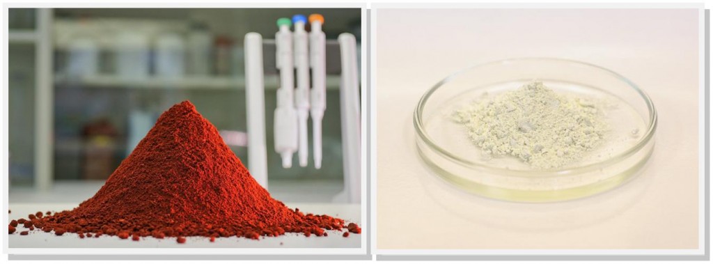 microalgae_astaxanthin_polysacchirides_glycomar_prasinotech_microa