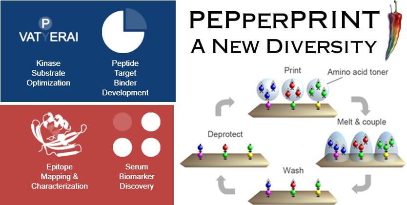 pepperprint_german_accelerator_life_science_boston_biotech_startup