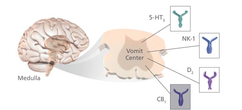 vomit_nausea_operation_ponv_acacia_trial_uk