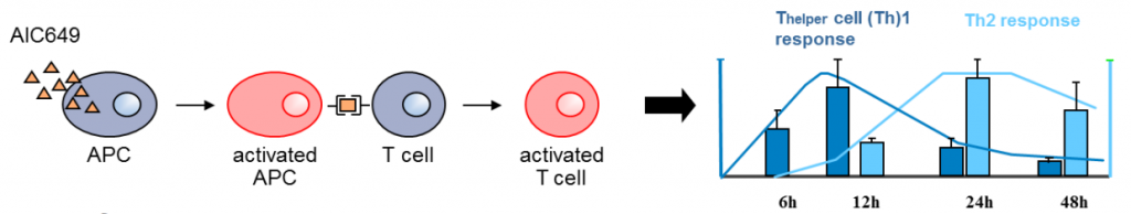 aicuris_hepatitis_b_aic649