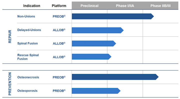 allob_preob_bone_therapeutics_spinal_injury