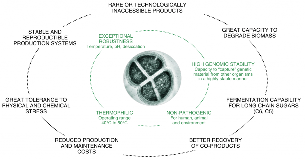 deinococcus_deinove_carotenoid_synbio_greentech