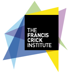 francis_crick_institute_human_embryos_research_CRISPR_EU