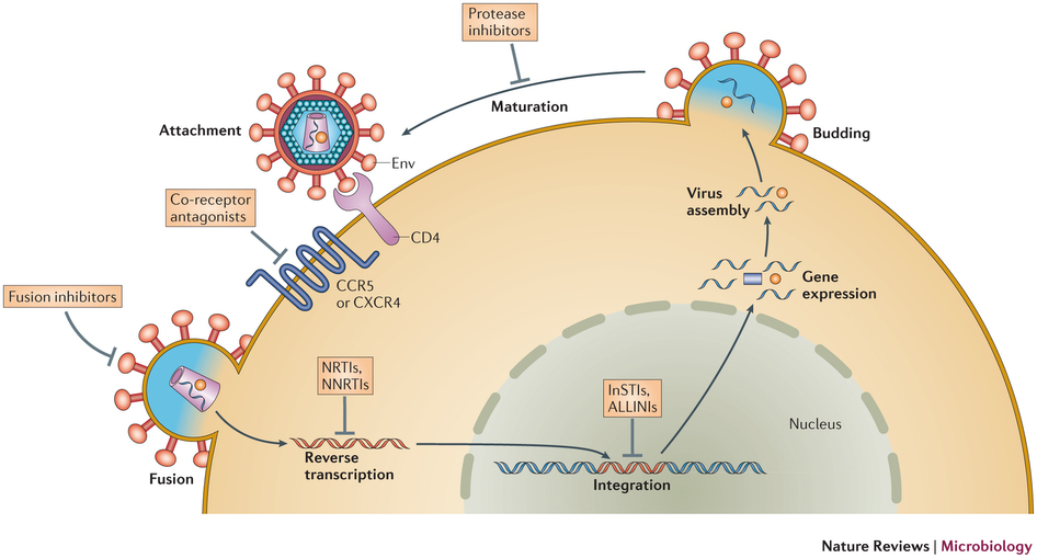 hiv_gilead_antiretroviral_grant_aids_funding_research