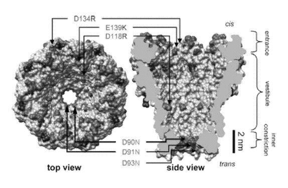 illumina_oxford_nanopore_lawsuit_patent_Mycobaterium_smegmatis_sequencing_NGS_promethion_minion_gridion