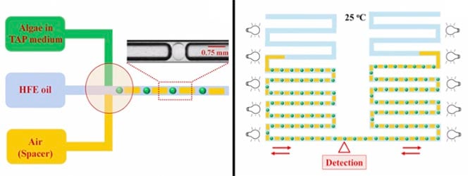 microfluidic_microbiome_millidrop_seventure