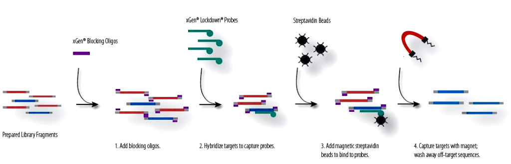 ngs_hospital_dna_itd_sophia_genetics_cancer_bioinformatics