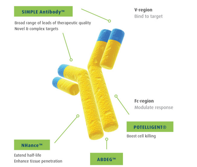 simple_antibody_leo_pharma_argen_x_skin_inflammatory