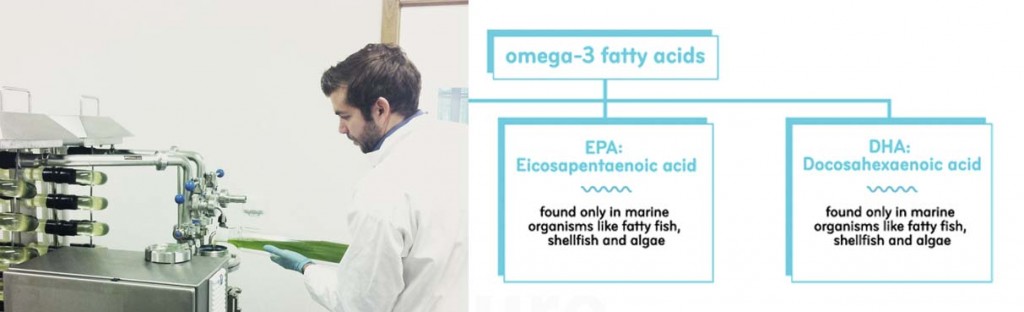 simris_alg_algae_biotech_omega_fatty_acid