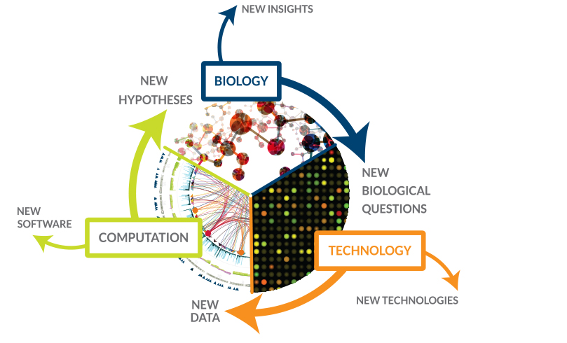 systems_biology_jens_nielsen_cell_factories_chalmers_novozymes