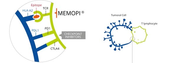 tedopi_nsclc_cancer_ose_pharma