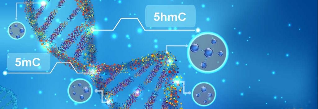 cambridge epigenix true methyl oxsb seq epigenome sequencing 5mc 5hmc gv sequoia geoff smith