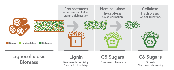 deinove_deinococci_green_chemistry_arbiom_biomass_pretreatment_lignin_optafuel_biomethodes_bioskog_synbio