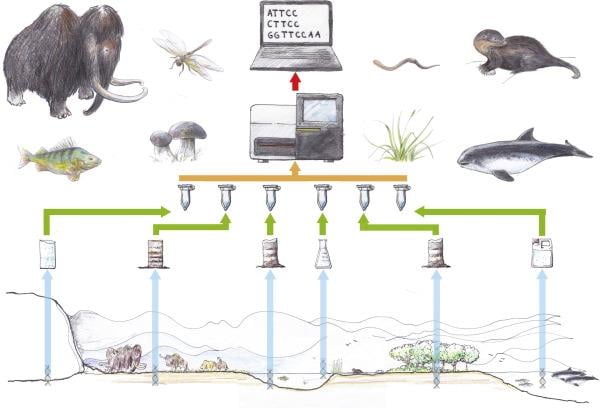 edna_biodiversity_spygen_conservation_great_crested_newts_species_biotech