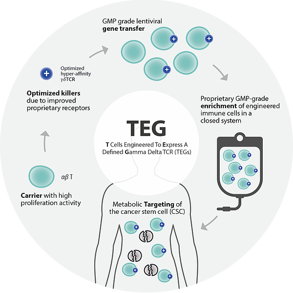 gadeta_tcr_metabolic_target_cancer_teg