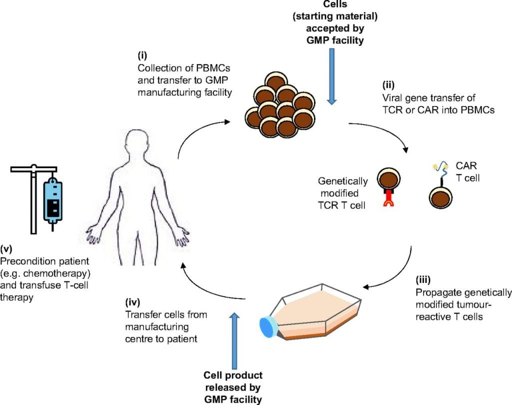 gene_therapy_cellular_therapy_gsk_miltenyi_biotec_manufacturing_gmp_cancer_leukemia