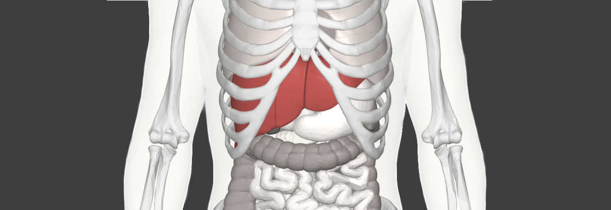 genfit primary billiary cholangitis elafibranor