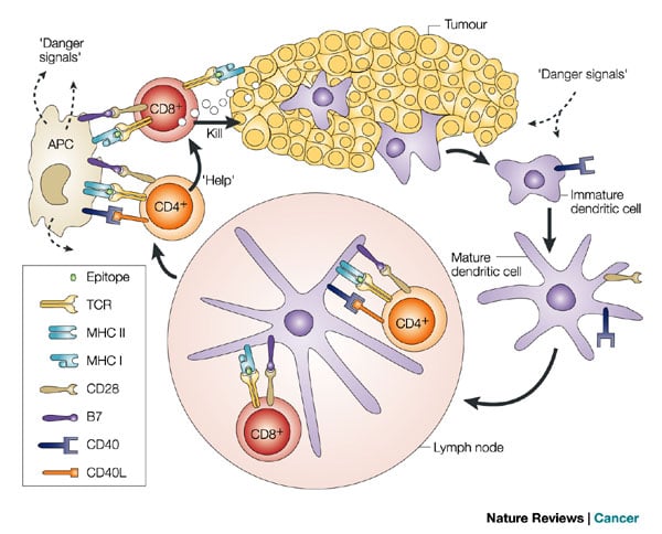 immuno-oncology_nature_reviews_cancer_250_immunotherapies_leiden_lumc_isa_pharmaceuticals