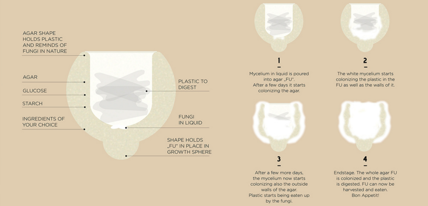 katharina_unger_julia_kaisinger_bioart_fungi_mutarium_design