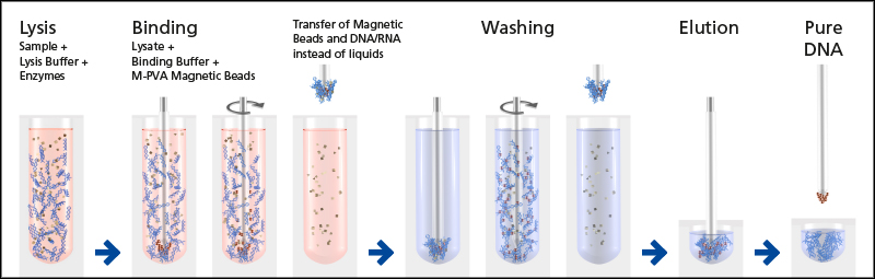 perkin_elmer_ngs_dna_extraction