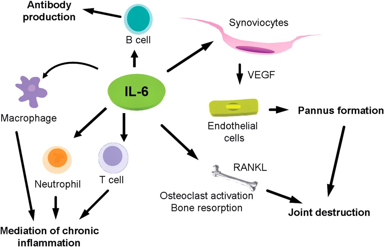 sirukumab_il-6_rheumatoid_arthritis_ra_galapagos_phase_III_remicade