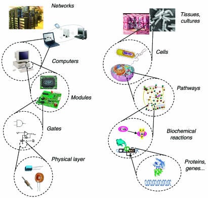 synthetic_biology_igem_indiebio_cork_university