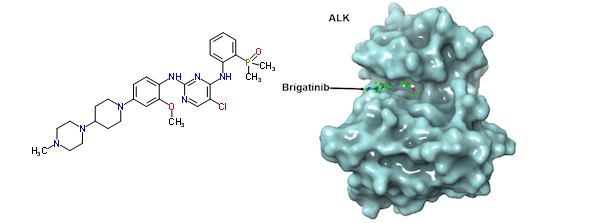 ariad_brigotinib_alk_lung_cancer