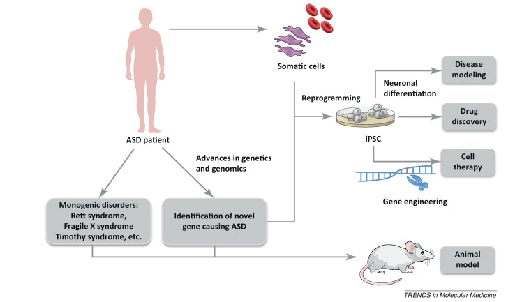 autism_asd_biotech_neurodevelopmental_pharma_fragile_x