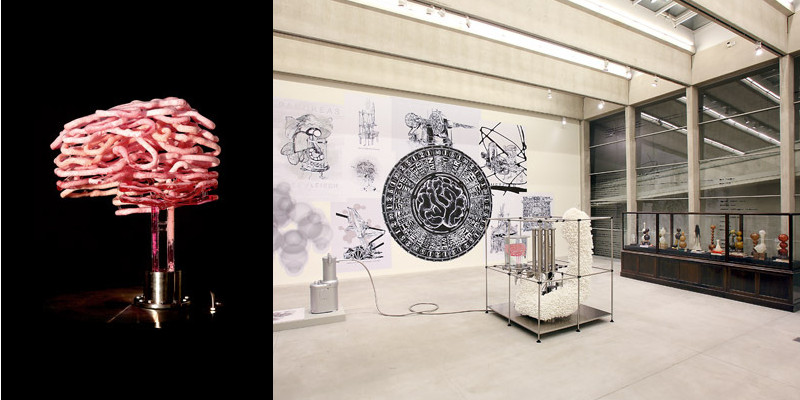 bioart_thomas_feuerstein_pancreas_candylab