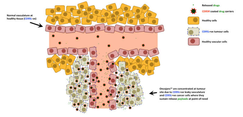 biomoti_oncojan_cancer_drug_nanoparticles