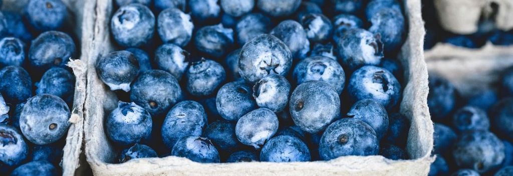 blueberry biotech week