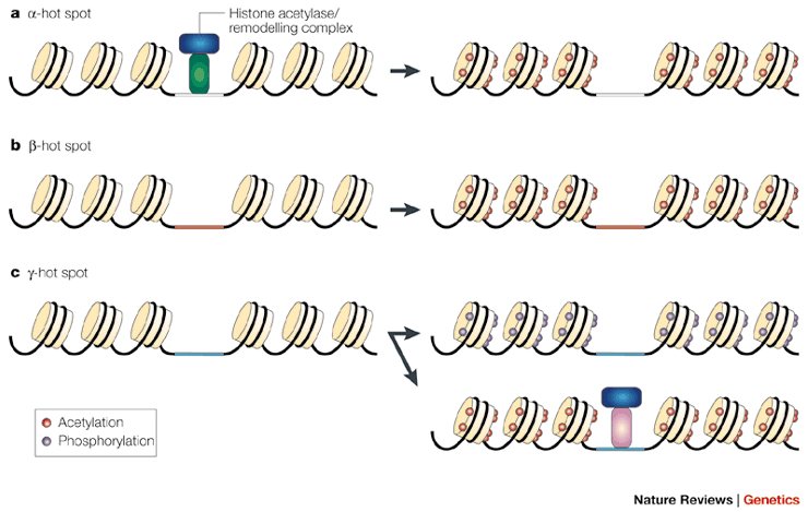 cold_regions_epigenetics_crop_diversity_meiogenix