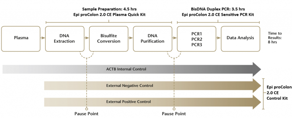 epiprocolon_use_diagnostic_test_cancer_biotech_interview_epigenomics