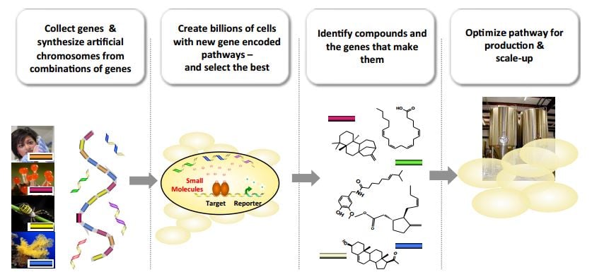 evolva_yeast_synbio_composite_material