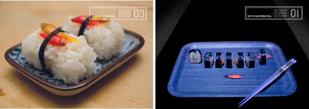 glowing_sushi_center_genomic_gastronomy_bioart_biohacking