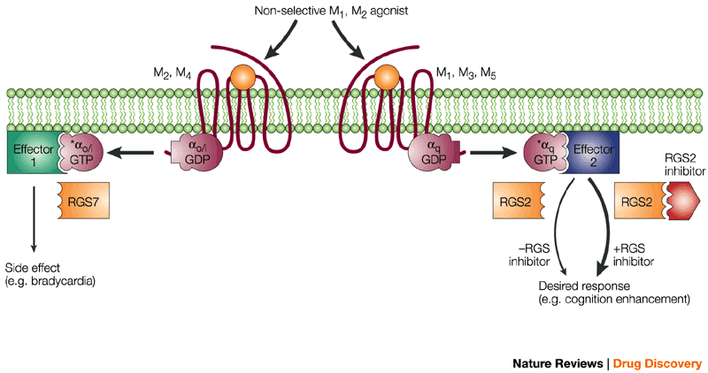 heptares_muscarinic_agonist_alzheimer_allergan