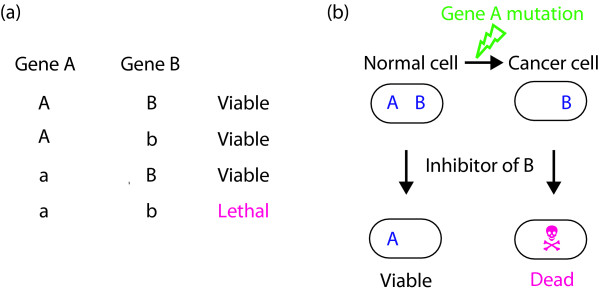 metabomed_cancer_metabolism_synthetic_lethality