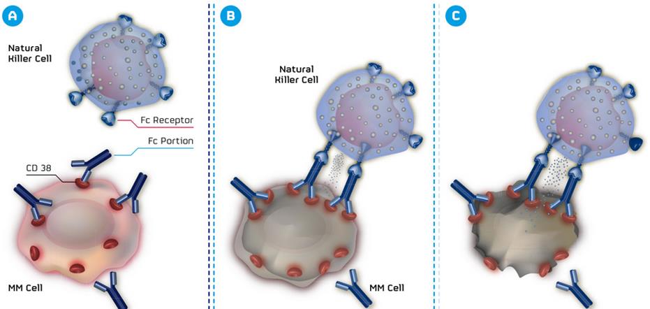 mor202_morphosys_patent_cd38_myleoma_janssen_genmab_lawsuit_patent_biotech