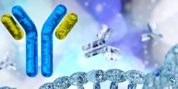 morphosys genmab janssen cancer immunotherapy