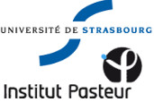 university_strasbourg_pasteur_institute_malaria