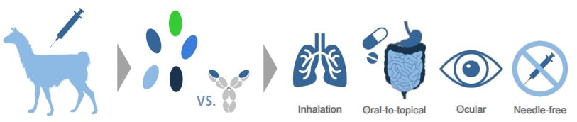 ablynx_nanobody_mabs_drug_delivery_inhalation