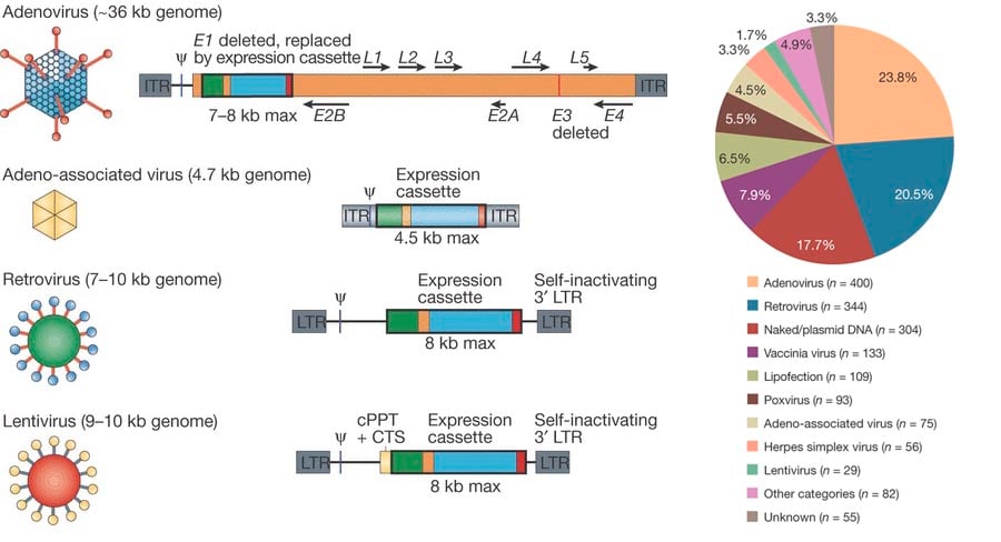 adenoviral_lentiviral_gene_therapy_cevec_aav_cap_rca_free_industry_biotech