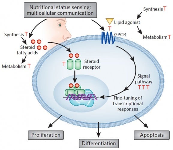 bioactive_lipids_fibrosis_inflammation_ds_biopharma