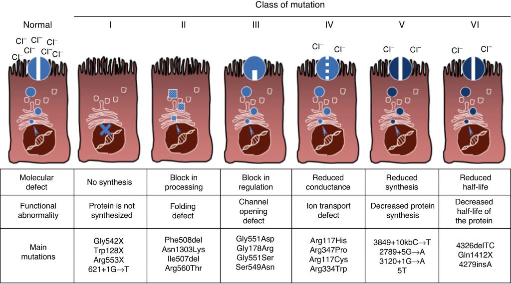 cystic_fibrosis_triple_therapy_galapagos_abbvie