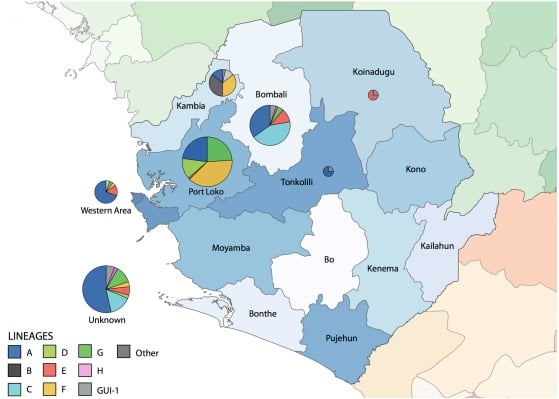 ebola_tracking_virus_genome_sequencing_cambridge