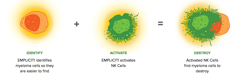 empliciti_elotuzumab_bms_abbvie_multiple_myeloma_immunooncology